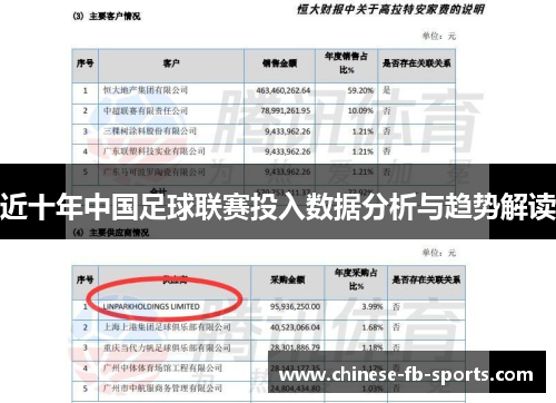 近十年中国足球联赛投入数据分析与趋势解读