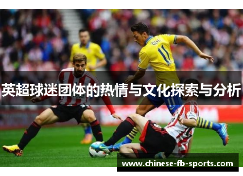 英超球迷团体的热情与文化探索与分析