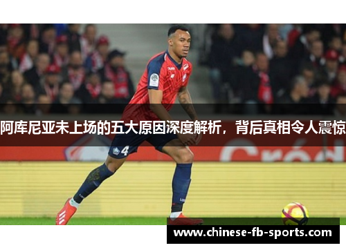 阿库尼亚未上场的五大原因深度解析，背后真相令人震惊